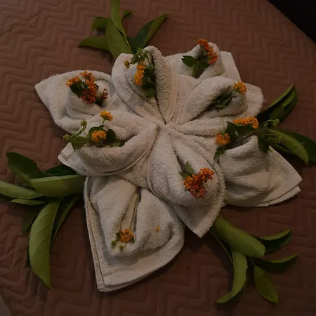 Santa Helena Hotel 3*